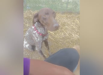 LEA - sucht ihre Menschen *reserviert*