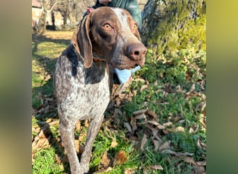Felice - fröhlicher Wirbelwind mit großem Herz sucht aktive Menschen