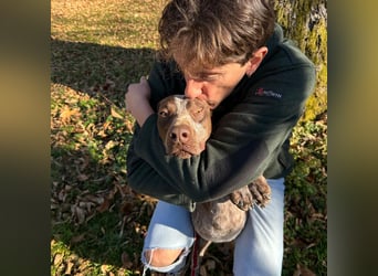 Felice - fröhlicher Wirbelwind mit großem Herz sucht aktive Menschen