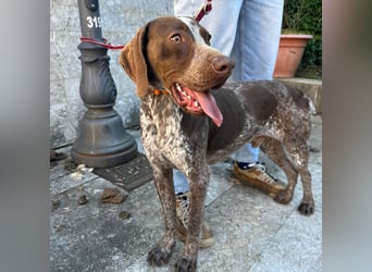 Felice - fröhlicher Wirbelwind mit großem Herz sucht aktive Menschen