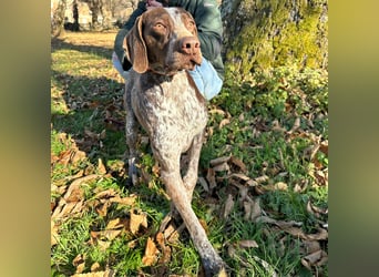 Felice - fröhlicher Wirbelwind mit großem Herz sucht aktive Menschen