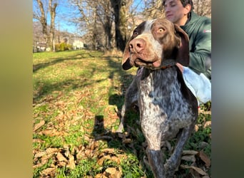 Felice - fröhlicher Wirbelwind mit großem Herz sucht aktive Menschen