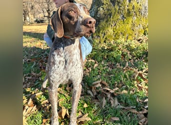 Felice - fröhlicher Wirbelwind mit großem Herz sucht aktive Menschen