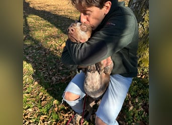 Felice - fröhlicher Wirbelwind mit großem Herz sucht aktive Menschen