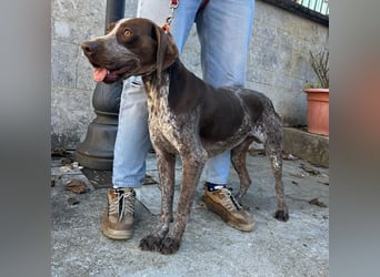 Felice - fröhlicher Wirbelwind mit großem Herz sucht aktive Menschen