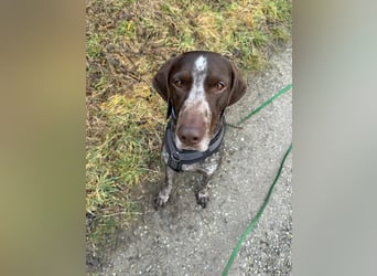 sportlicher lieber MIKA