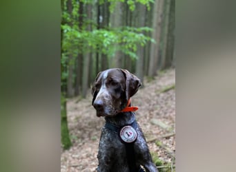sportlicher lieber MIKA sucht aktive Menschen