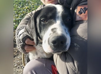 Dot ein eleganter Hingucker