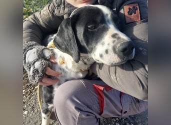 Dot ein eleganter Hingucker