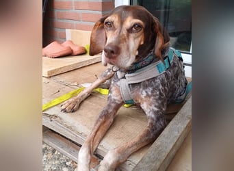 Patty: sie hat alles, was man sich wünscht