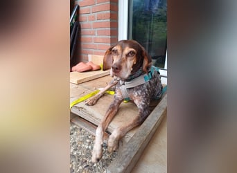 Patty: sie hat alles, was man sich wünscht