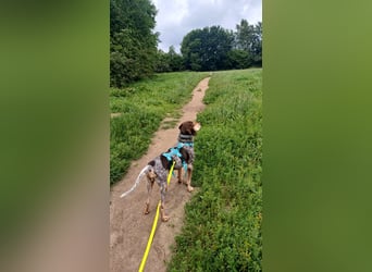 Patty: sie hat alles, was man sich wünscht