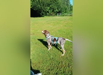 Patty: sie hat alles, was man sich wünscht