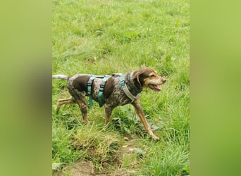 Patty: sie hat alles, was man sich wünscht