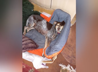 Patty: sie hat alles, was man sich wünscht