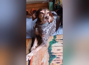 Patty: sie hat alles, was man sich wünscht