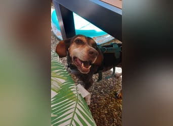 Patty: sie hat alles, was man sich wünscht