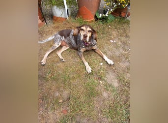 Patty: sie hat alles, was man sich wünscht