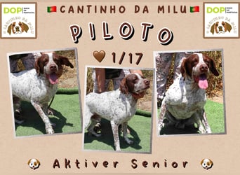 | PILOTO | wartet in der Cantinho da Milu ⏳ nun 1 Jahr auf sein Glück