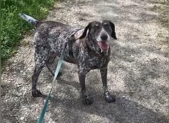 Esther: sie braucht dringend Hilfe Esther: sie braucht dringend Hilfe