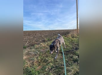 Esther: sie braucht dringend Hilfe Esther: sie braucht dringend Hilfe