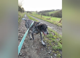 Esther: sie braucht dringend Hilfe Esther: sie braucht dringend Hilfe