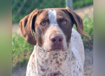 KIARA- freundlich, unbekümmert, aufgeschlossen, da sie schon einemal eine Familie hatte