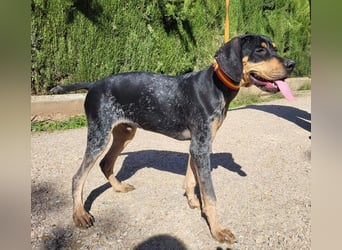 SHARIF-freundlicher, sozialer,zärtlicher, liebevoller Bub sucht sein liebevolles Für-immer Zuhause