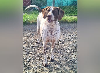 KIARA- freundlich, unbekümmert, aufgeschlossen, da sie schon einemal eine Familie hatte