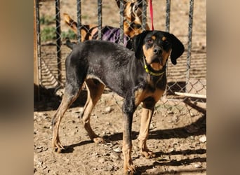 SHARIF-freundlicher, sozialer,zärtlicher, liebevoller Bub sucht sein liebevolles Für-immer Zuhause