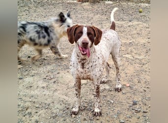 KIARA- freundlich, unbekümmert, aufgeschlossen, da sie schon einemal eine Familie hatte