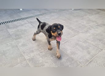 SHARIF-freundlicher, sozialer,zärtlicher, liebevoller Bub sucht sein liebevolles Für-immer Zuhause