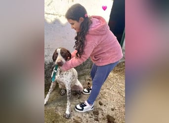 KIARA- freundlich, unbekümmert, aufgeschlossen, da sie schon einemal eine Familie hatte