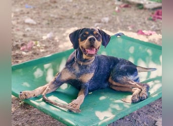 SHARIF-freundlicher, sozialer,zärtlicher, liebevoller Bub sucht sein liebevolles Für-immer Zuhause