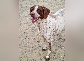 KIARA- freundlich, unbekümmert, aufgeschlossen, da sie schon einemal eine Familie hatte