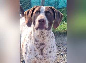 KIARA- freundlich, unbekümmert, aufgeschlossen, da sie schon einemal eine Familie hatte