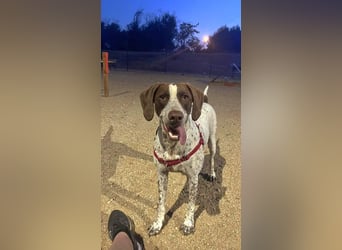 KIARA- freundlich, unbekümmert, aufgeschlossen, da sie schon einemal eine Familie hatte