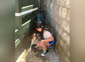 KIARA- freundlich, unbekümmert, aufgeschlossen, da sie schon einemal eine Familie hatte