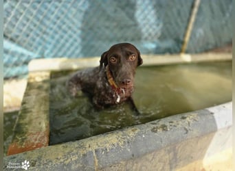 Yakin ist ausgesprochen freundlich ,ausgeglichen und verschmust