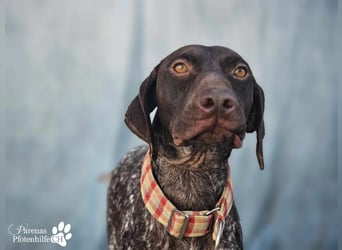 Yakin ist ausgesprochen freundlich ,ausgeglichen und verschmust