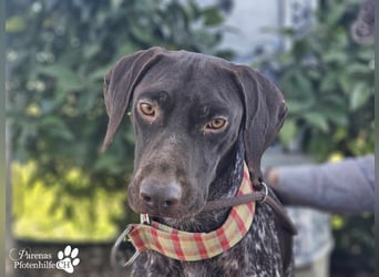 Yakin ist ausgesprochen freundlich ,ausgeglichen und verschmust