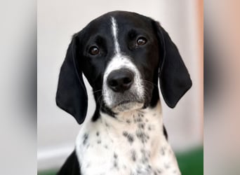 Meyla - mit dem treuen Blick!