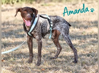 Amanda – möchte die Welt entdecken