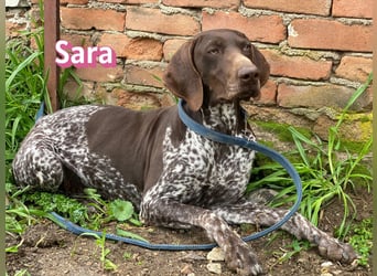 Sara - lieb, temperamentvoll, lustig