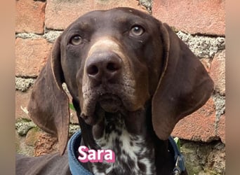 Sara - lieb, temperamentvoll, lustig