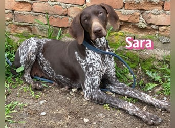 Sara - lieb, temperamentvoll, lustig