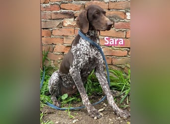 Sara - lieb, temperamentvoll, lustig