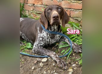 Sara - lieb, temperamentvoll, lustig