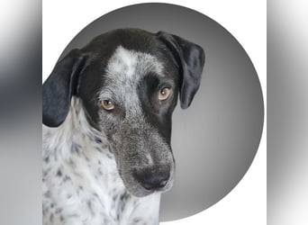 Capitan, clever und menschenbezogen