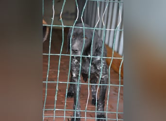 Sophie, ca. 2022 geboren